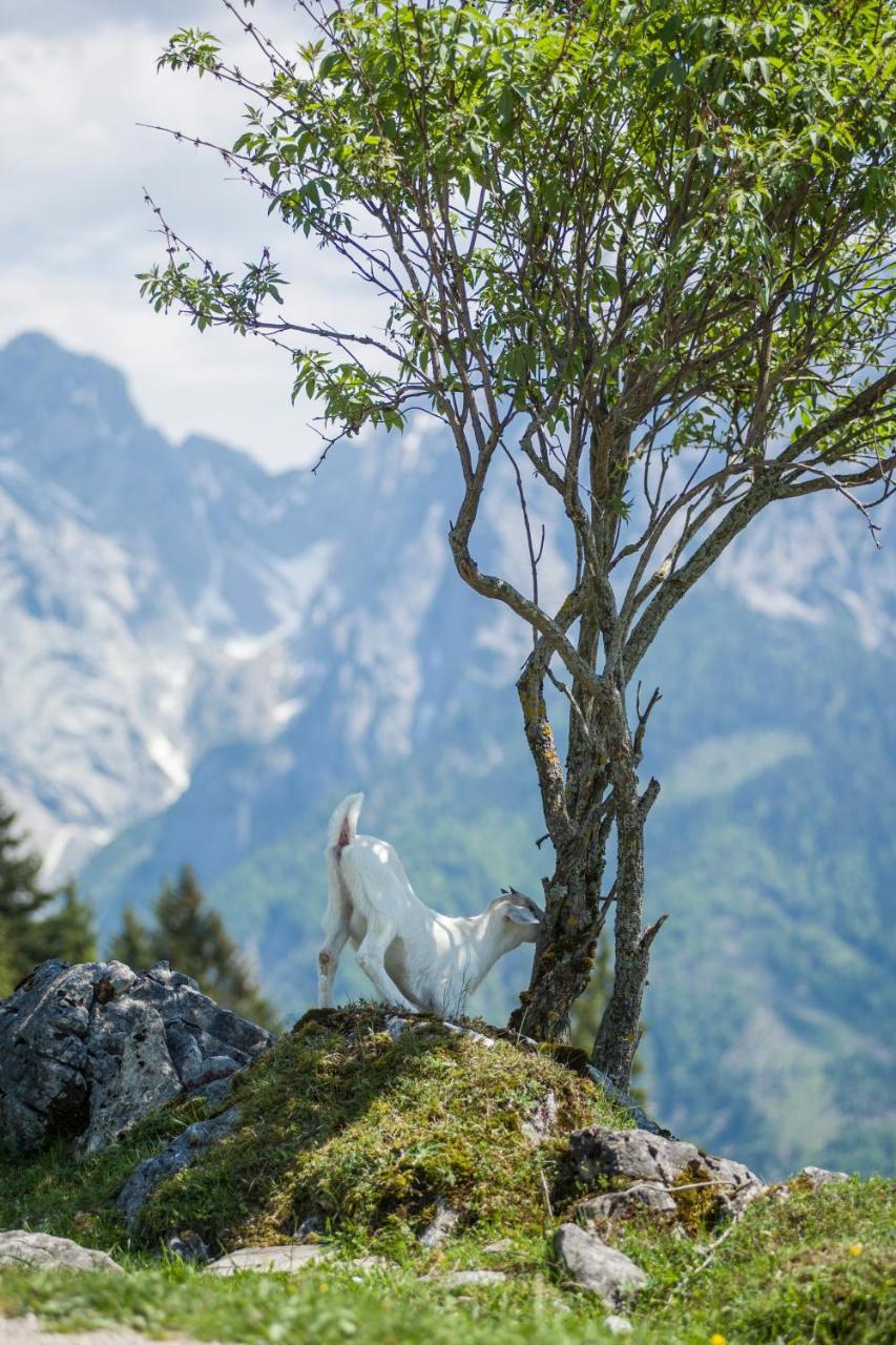 Hotel Ritzau Alm Ebbs Exteriér fotografie