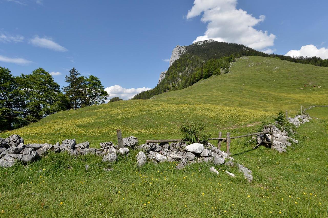 Hotel Ritzau Alm Ebbs Exteriér fotografie