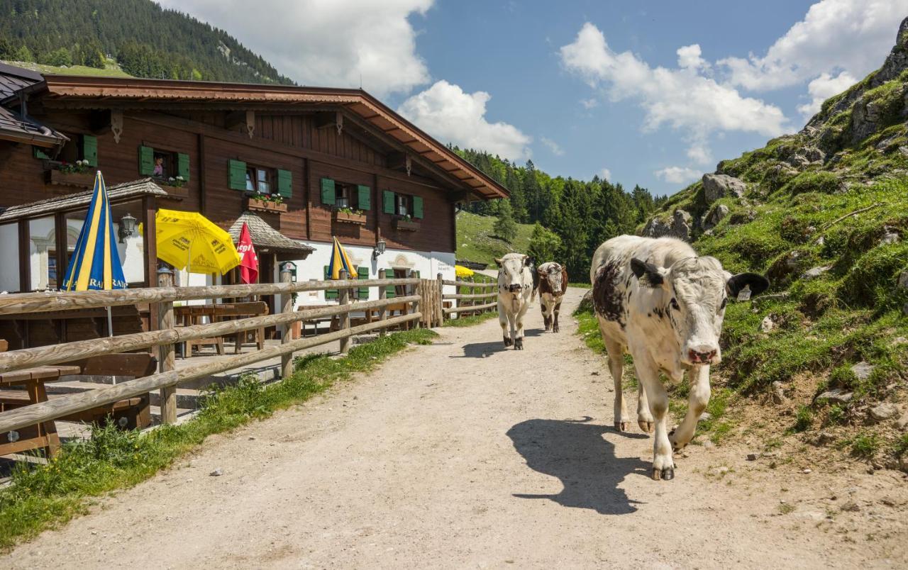 Hotel Ritzau Alm Ebbs Exteriér fotografie
